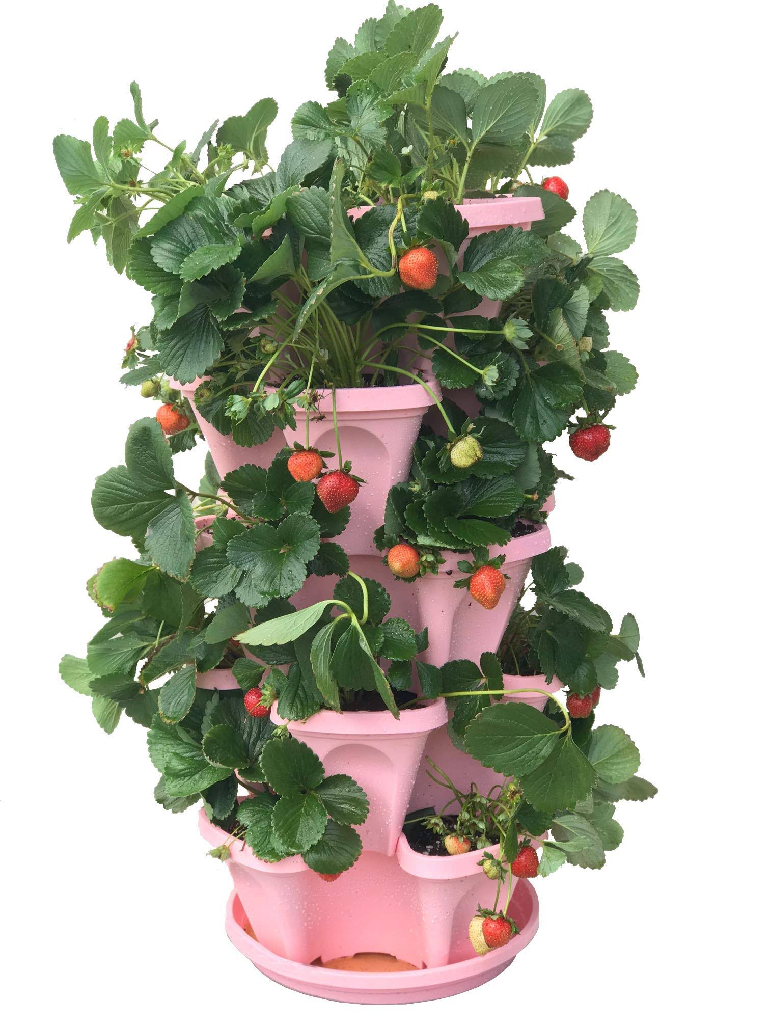 5-Tier Pink Strawberry and Herb Garden Planter - Stackable Gardening Pots with 10 inch Saucer