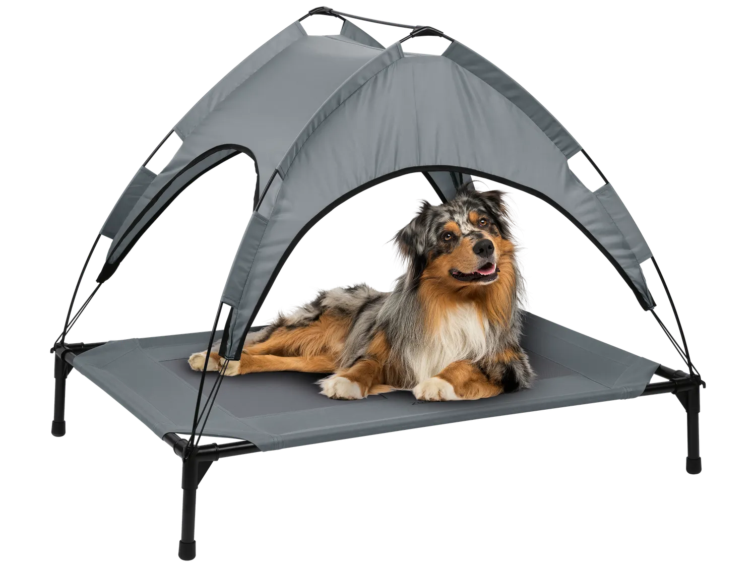ZOOFARI Lit de camp ou panier pour chien