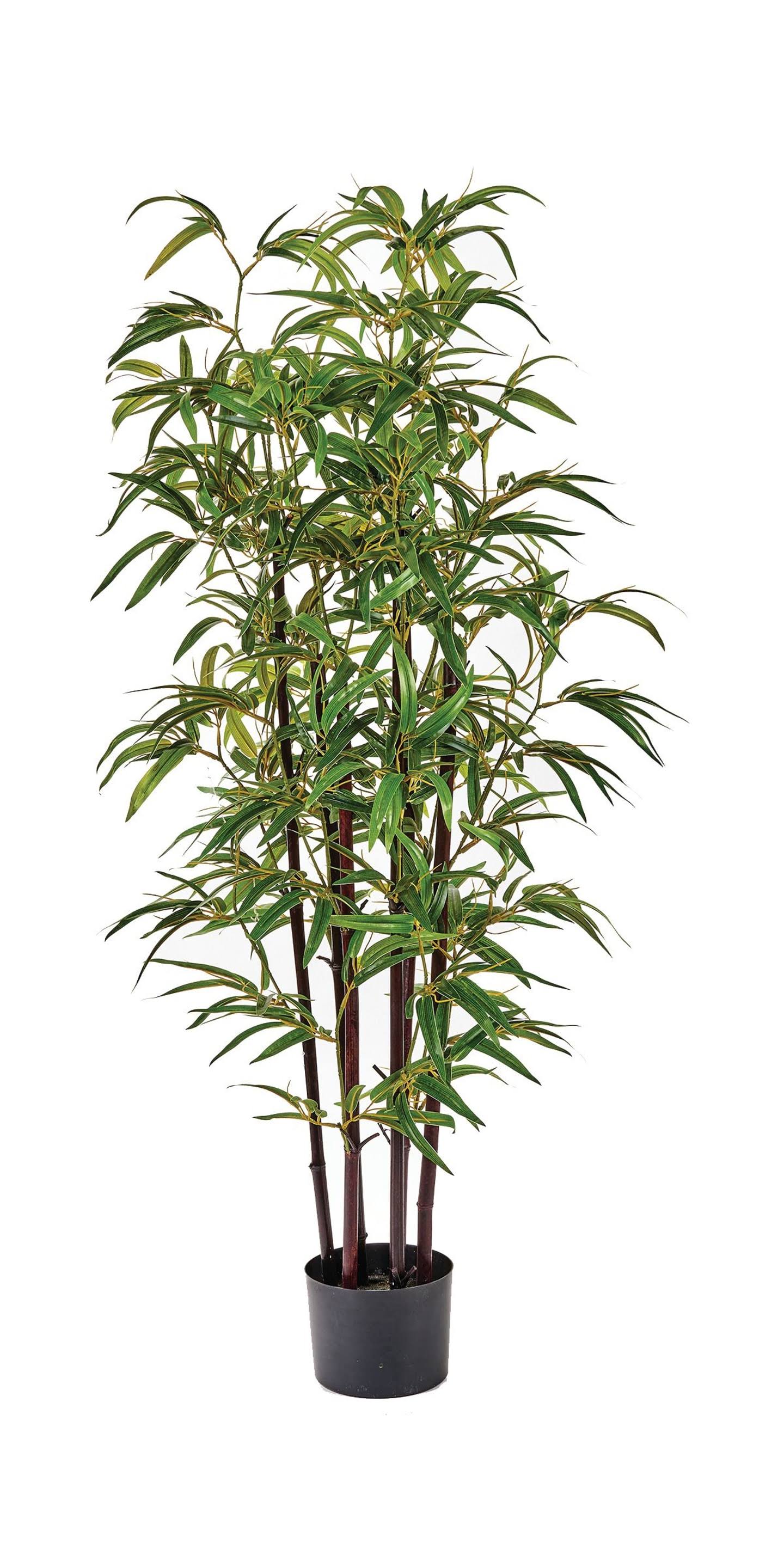 49 in. Bamboo Tree with Black Trunk in Pot