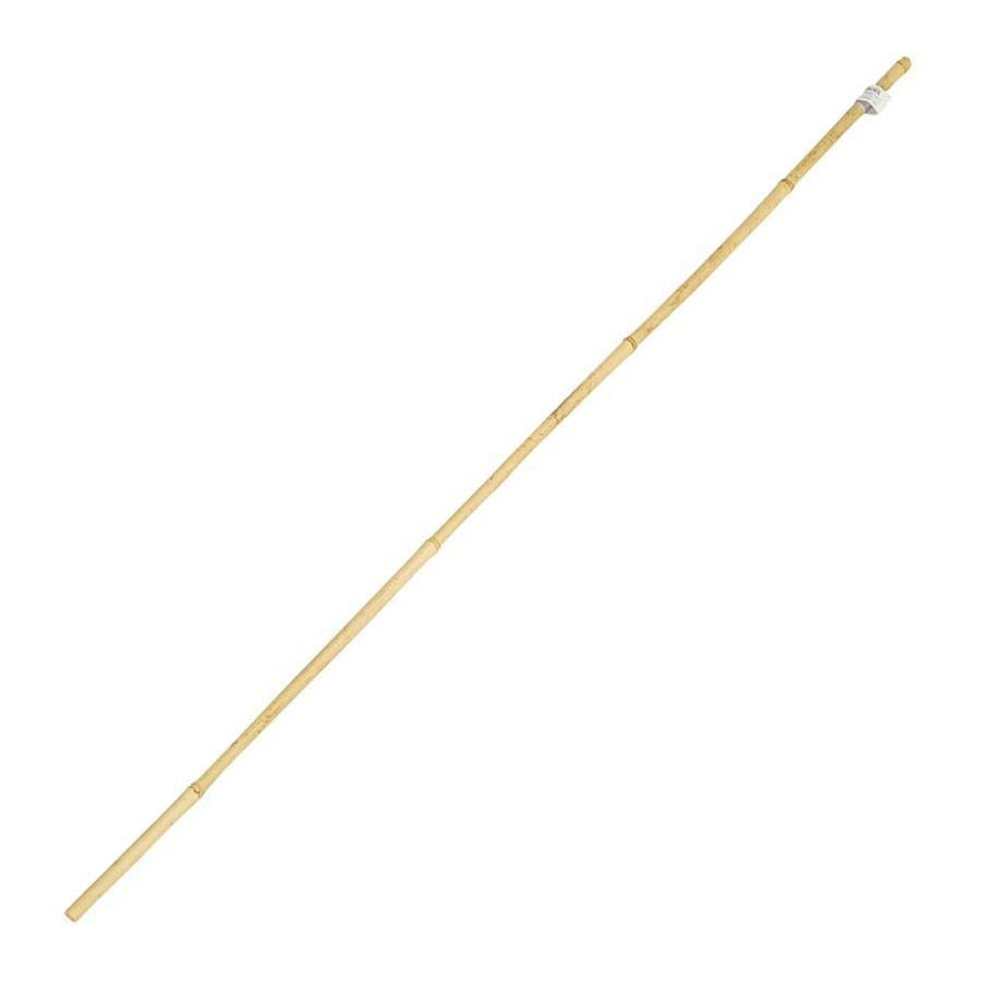 Gardener's Blue Ribbon 6-ft Bamboo Stake 6-Pack Natural | BB6N
