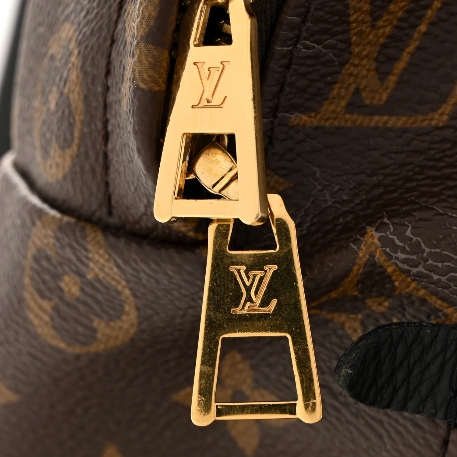 Monogram Palm Springs Backpack MM