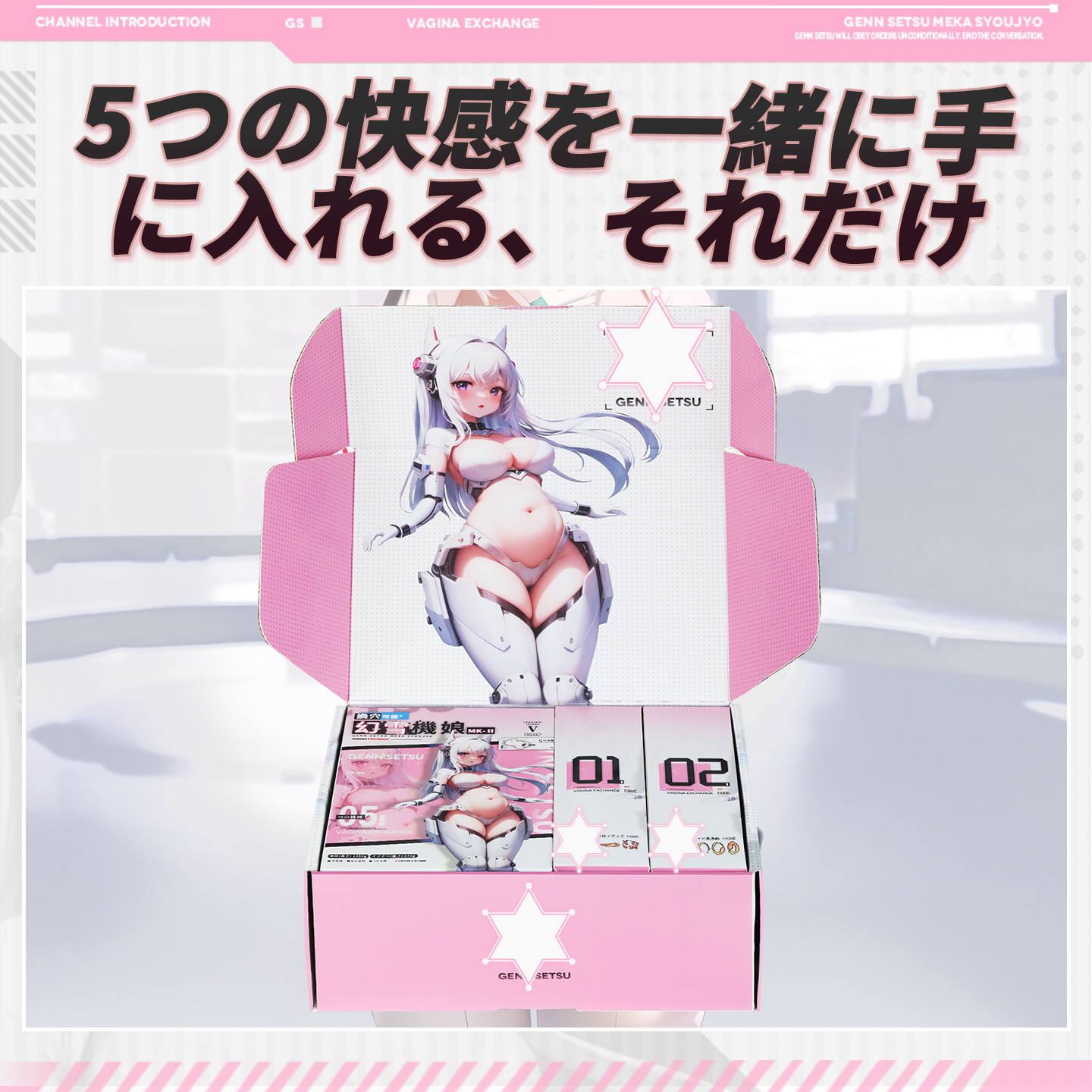 Dr.YUU「幻雪機娘 二代目」の商品パッケージ。キャラクターデザインと5種類の交換用ホールを掲載