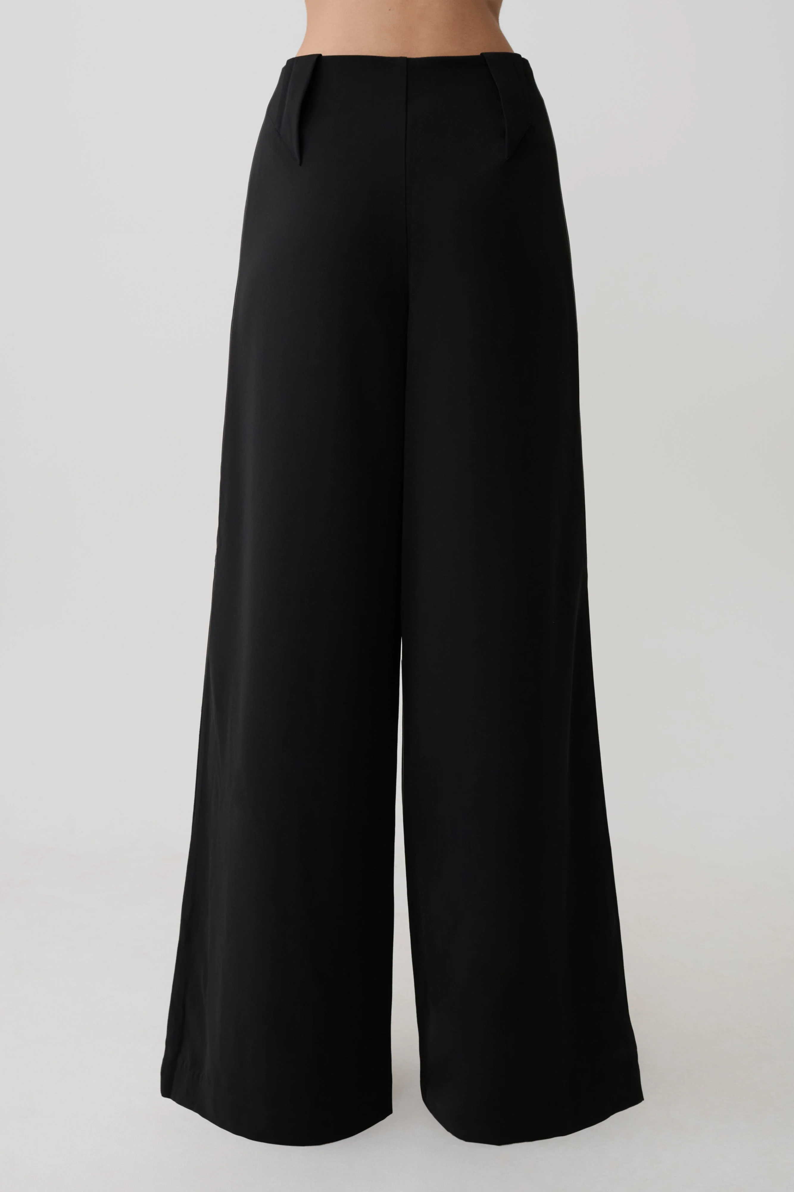 Arlo Wide Leg Suiting Trouser - Black
