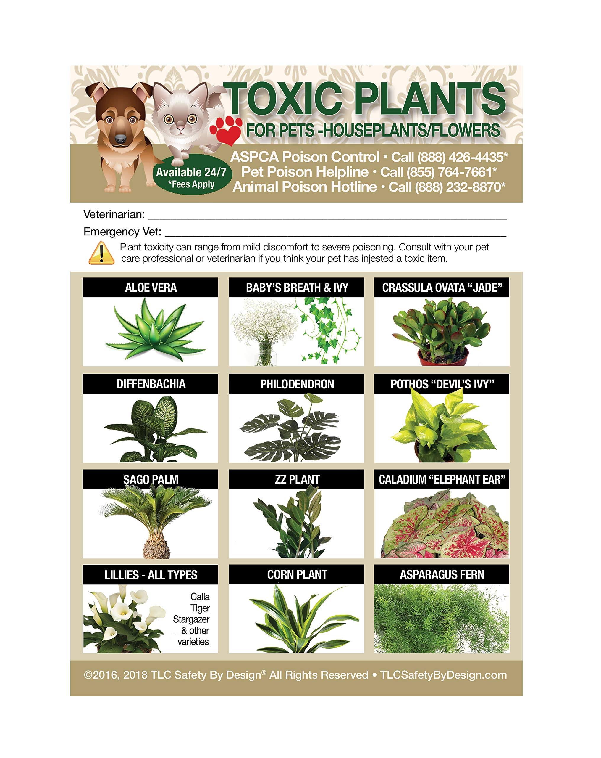 TLC Safety by Design Enhanced Toxic Plants Flowers Trademarked Poison for Pets Dogs Cats Emergency Home Alone 5�� x 7�� Veterinarian Approved