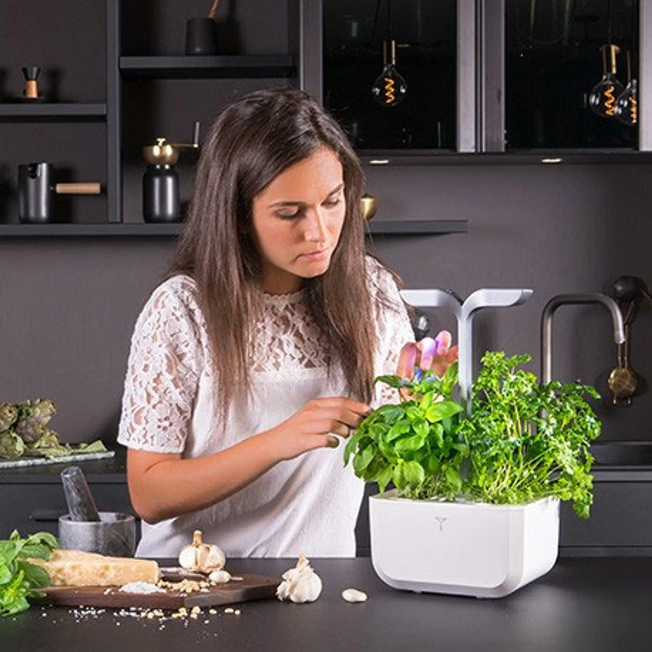 VERITABLE Moestuin Exky Smart