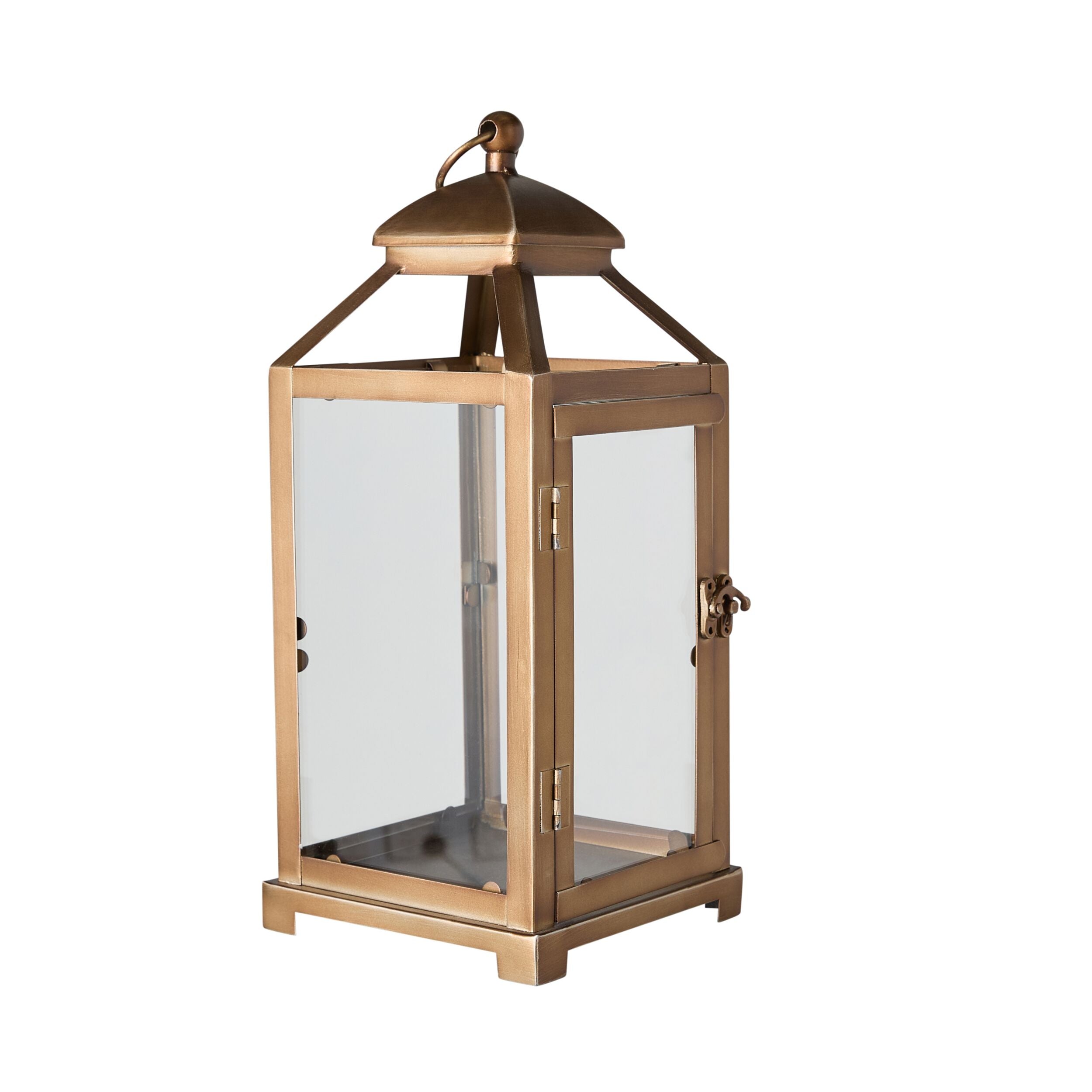 Darwin Lantern