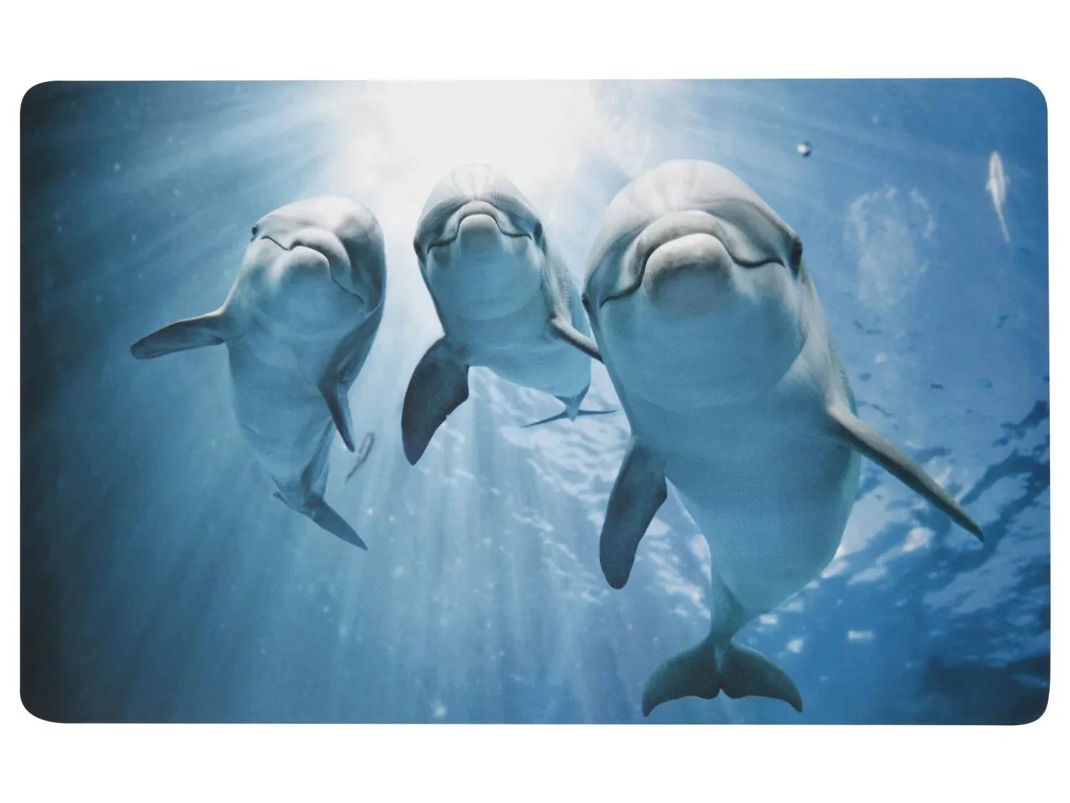 LIVARNO Tapis de bain, 50 x 80 cm