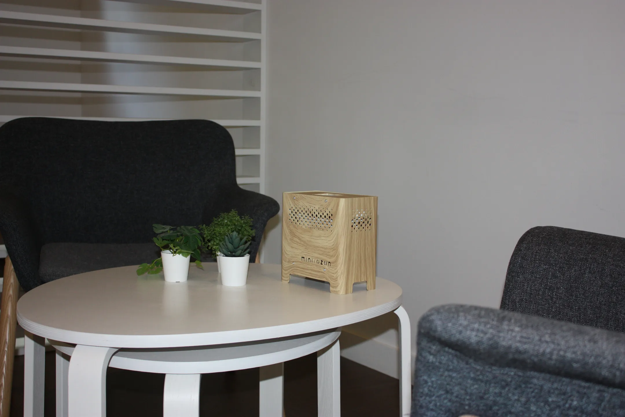 Mini Ozon Luchtreiniger - Wood