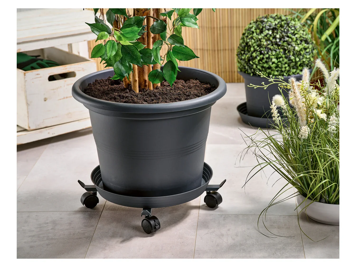 PARKSIDE Chariot  plantes