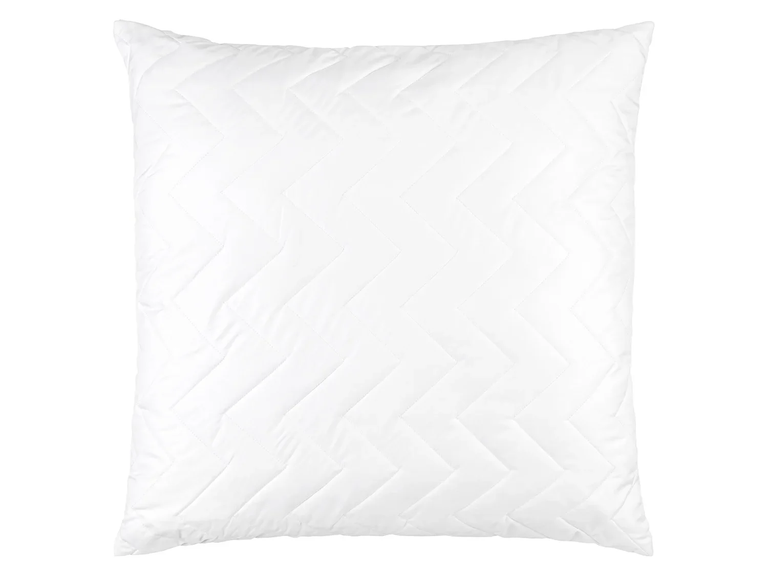 LIVARNO home Oreiller Aloe Vera, 60 x 60 cm