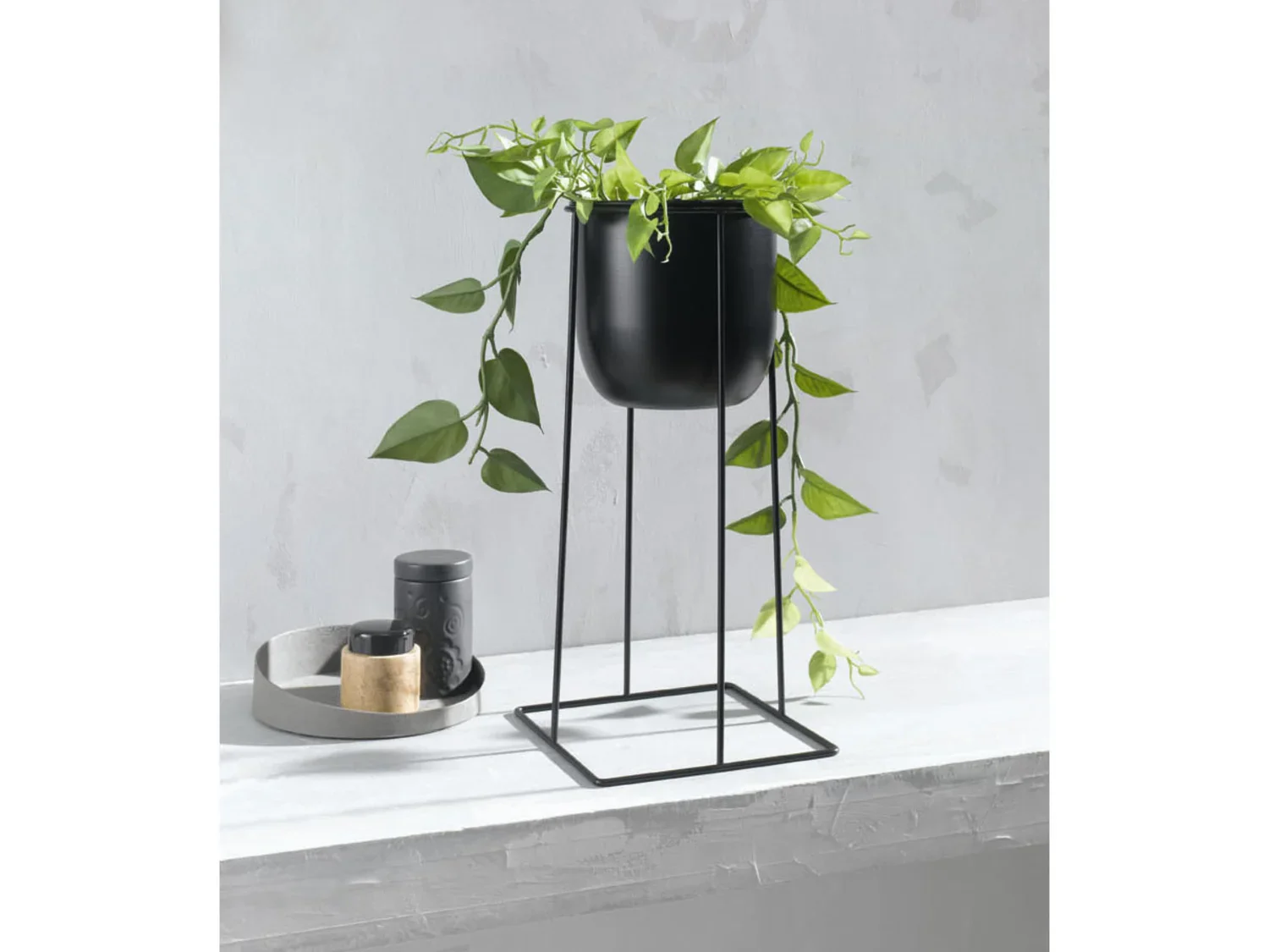 LIVARNO home Pot de fleurs avec cadre mtallique