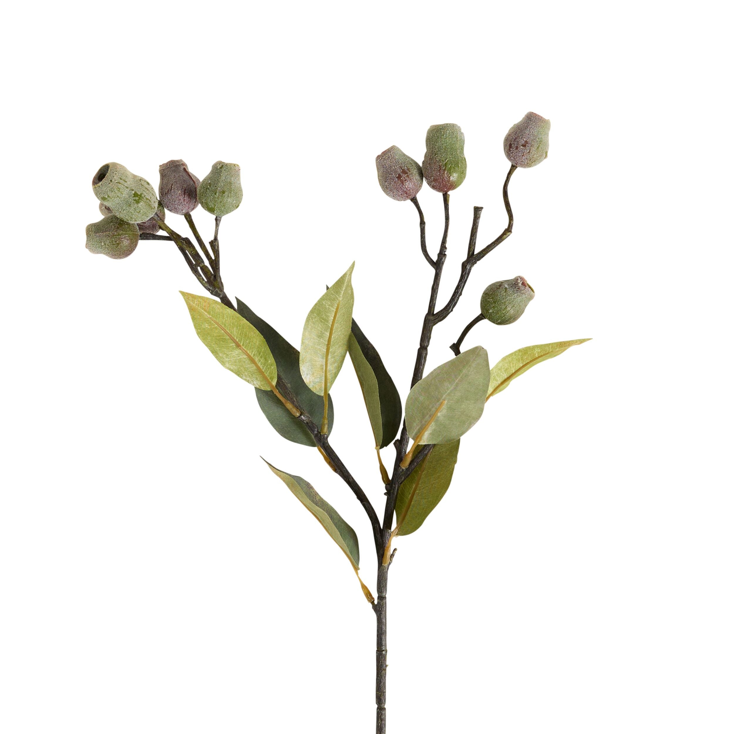 Bloomery Gumnut Stem 73cm