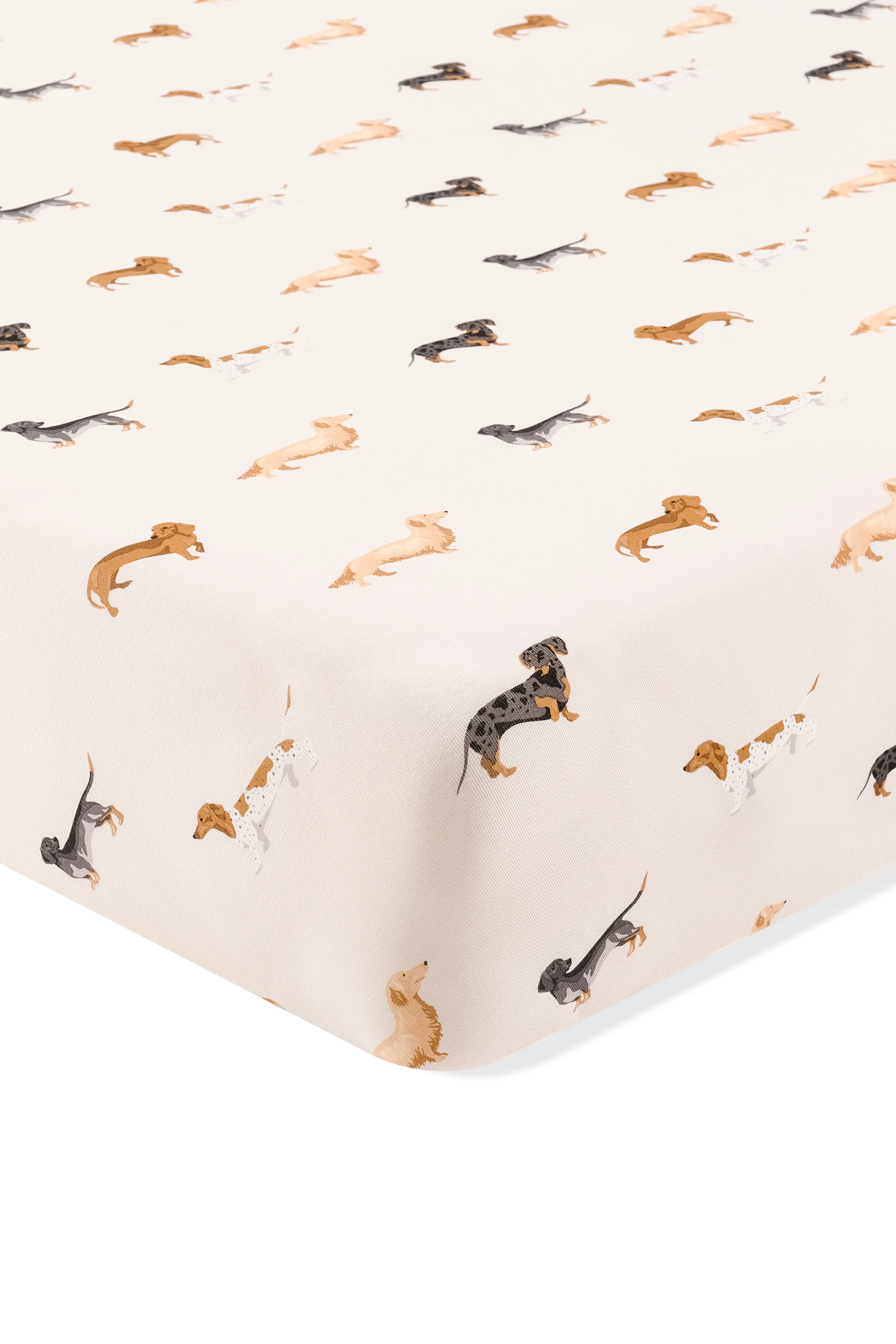 Twin Sheet in Dachshund