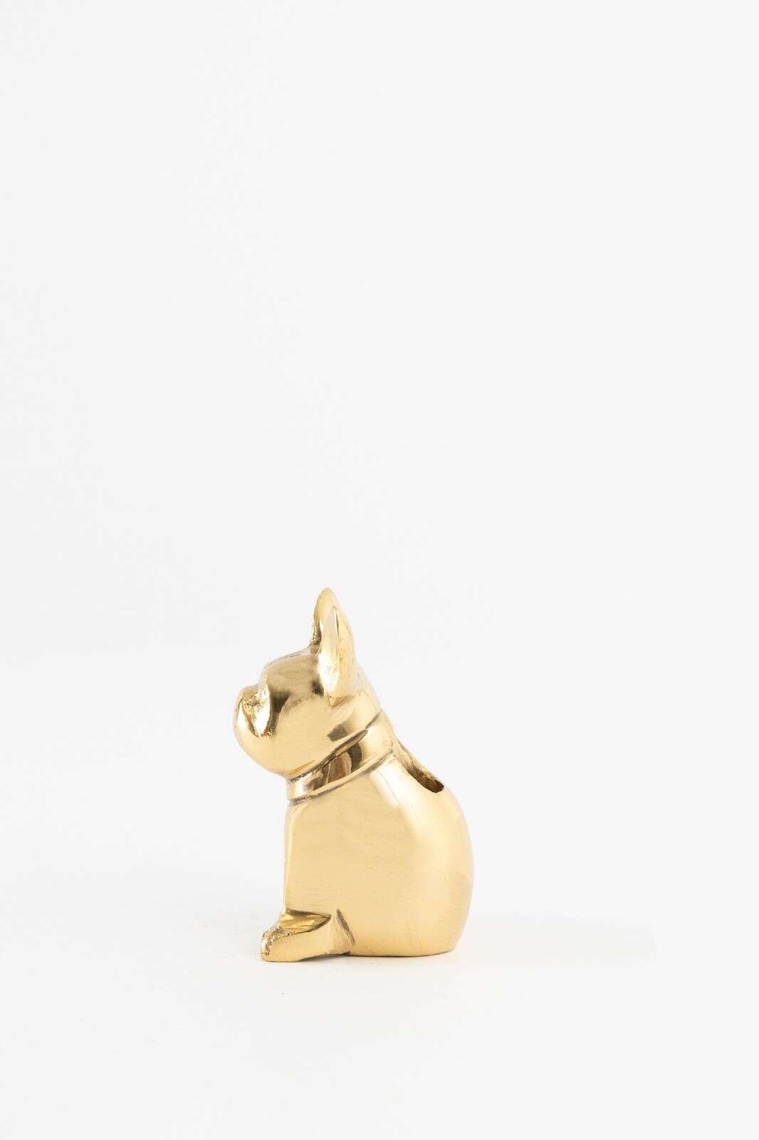 Goudkleurige kandelaar bulldog