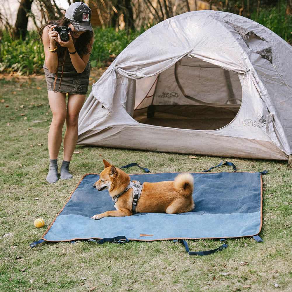 Classic Retro - Waterproof Camping & Car Dual-Use Back Seat Cover