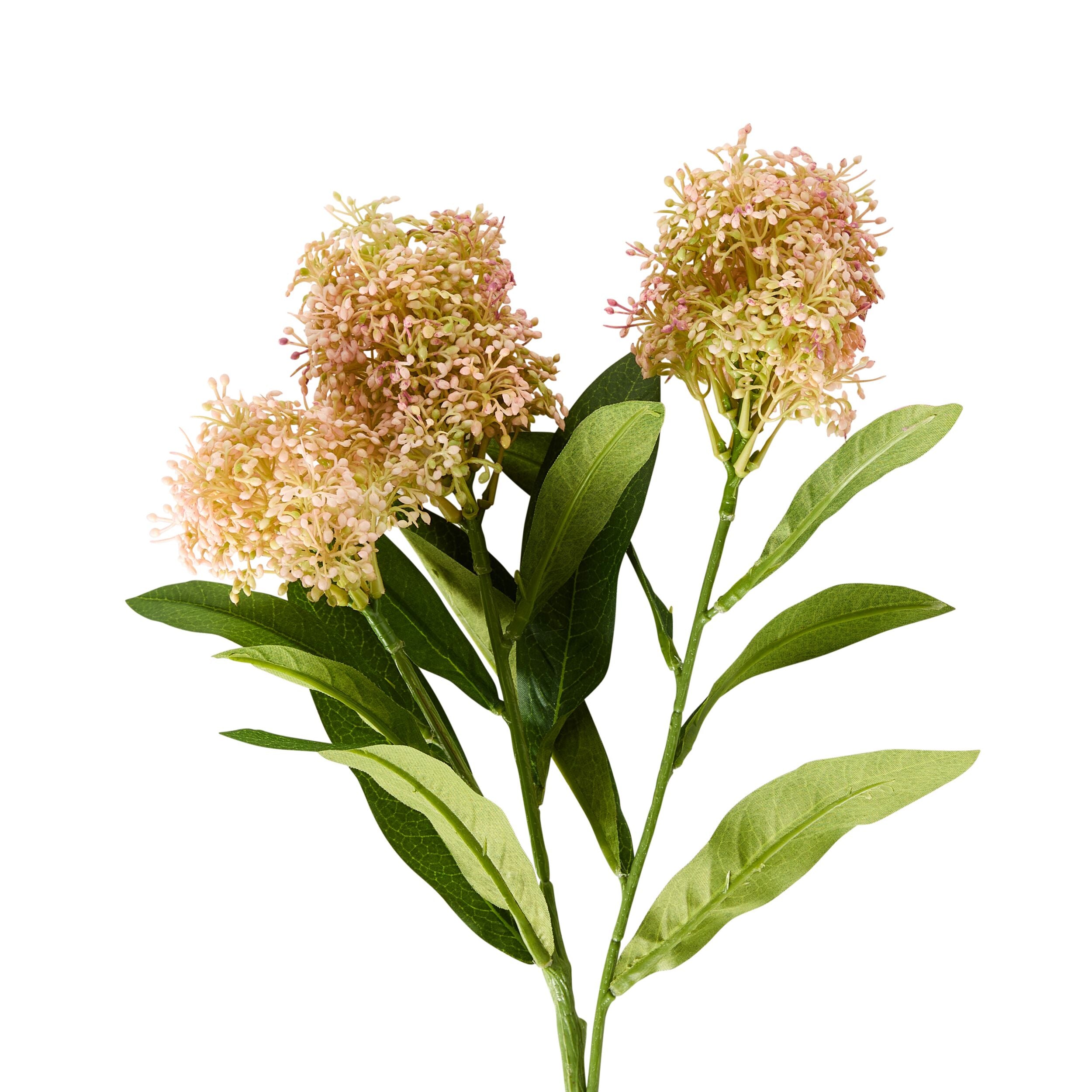 Bloomery Viburnum Stem Pink 57cm