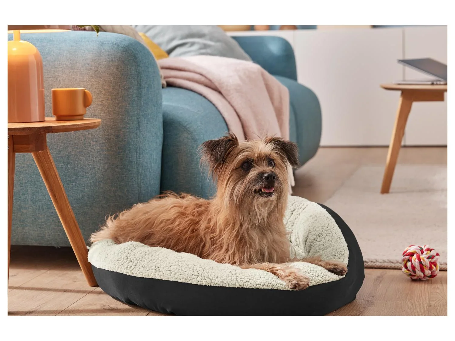 zoofari Panier pour chien
