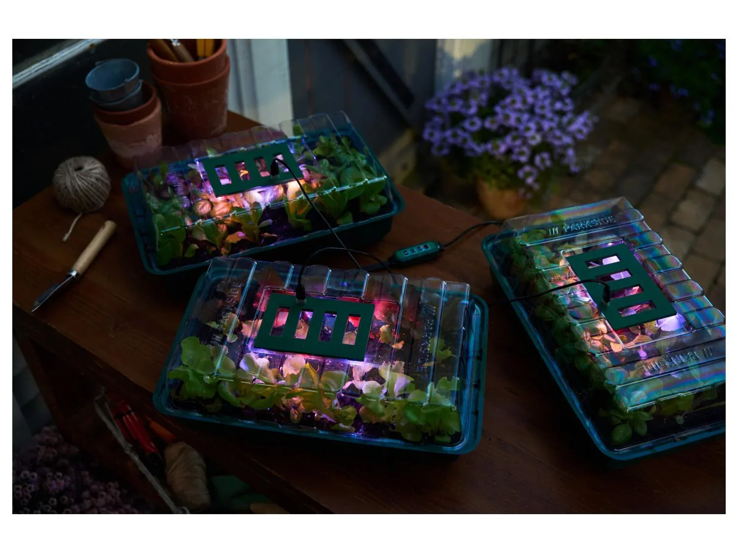 PARKSIDE Lot de 3 mini-serres  LED