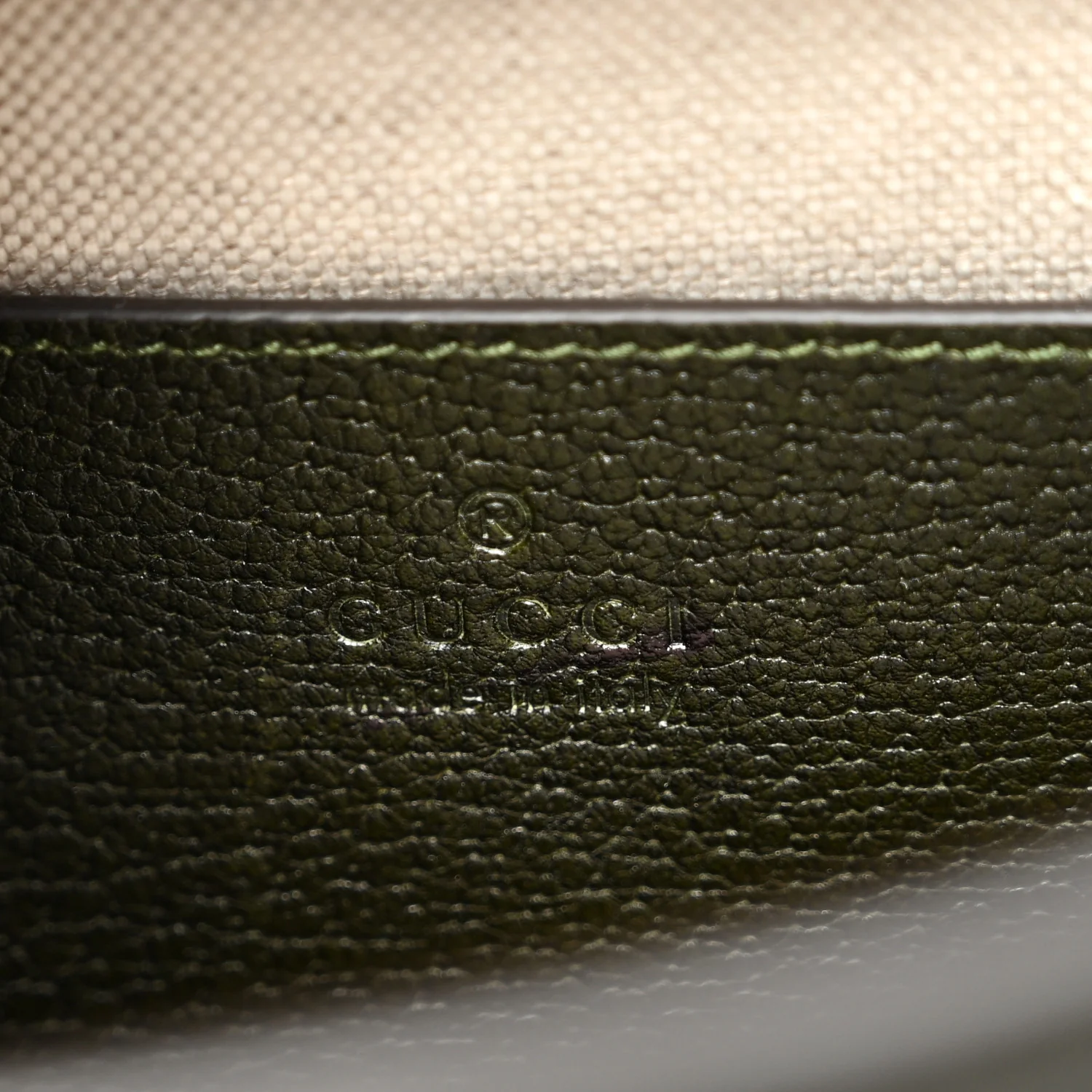 Textured Dollar Calfskin Web Small Diana Tote Bag Green Ombre