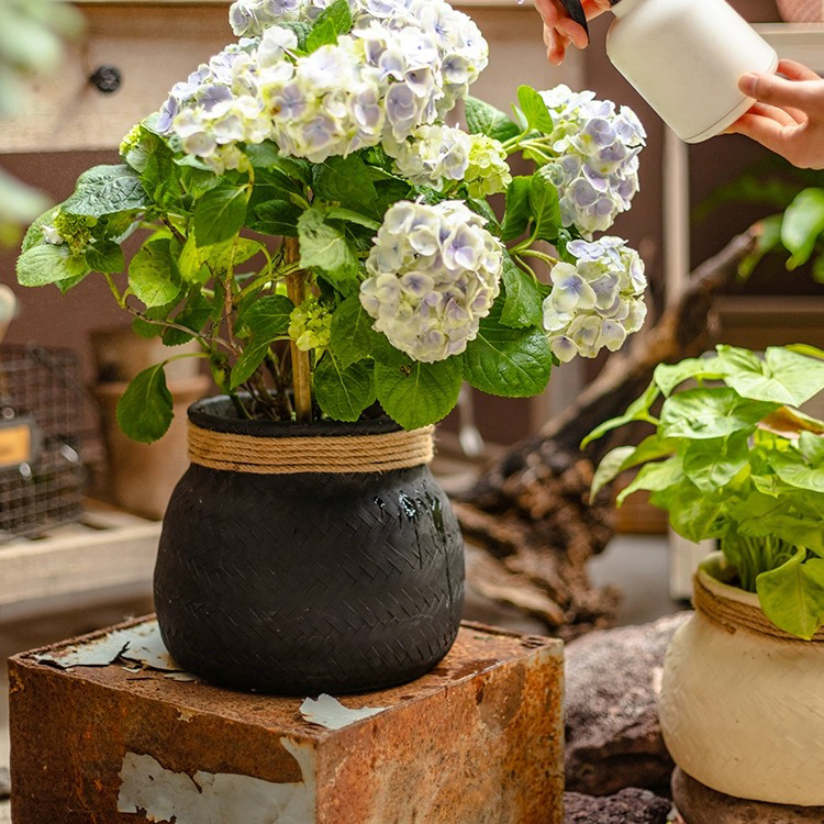 Garden Decoration Succulent Planter Creative Home Blacony Decor Cement  Plant Pots for Flower