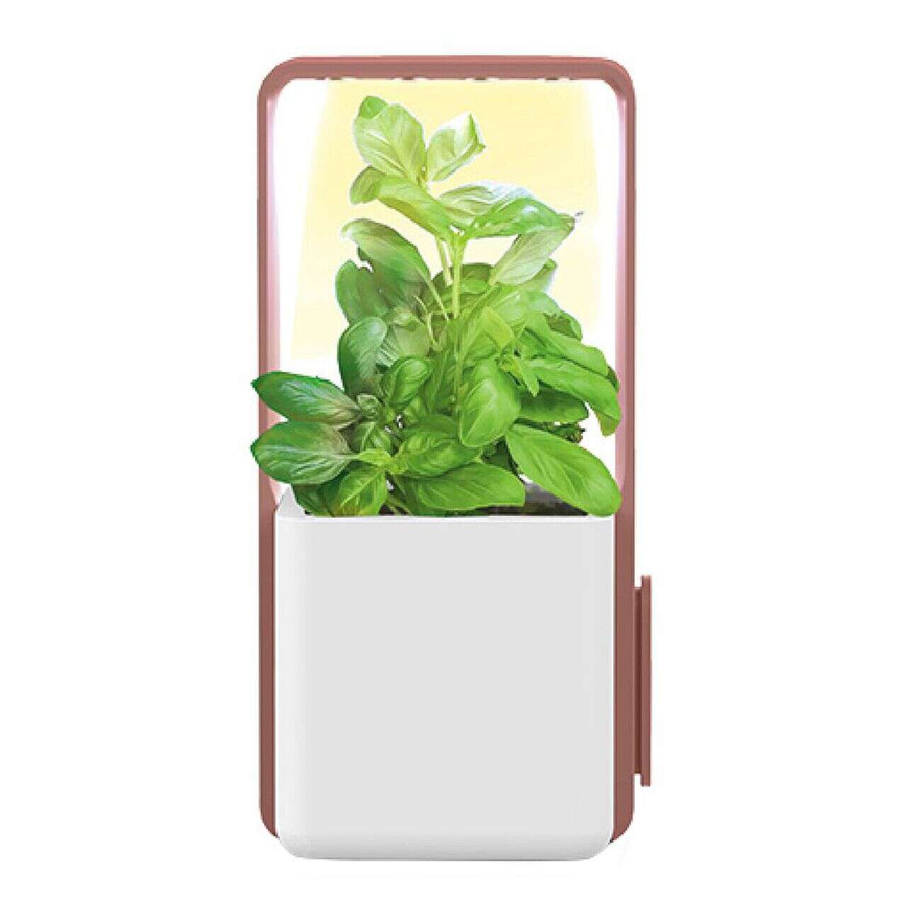 Potager intérieur clipsable avec kit de démarrage