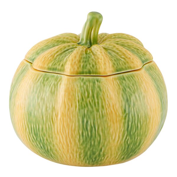 Pumpkin terrin 4,3L gresskar oransje/grønn