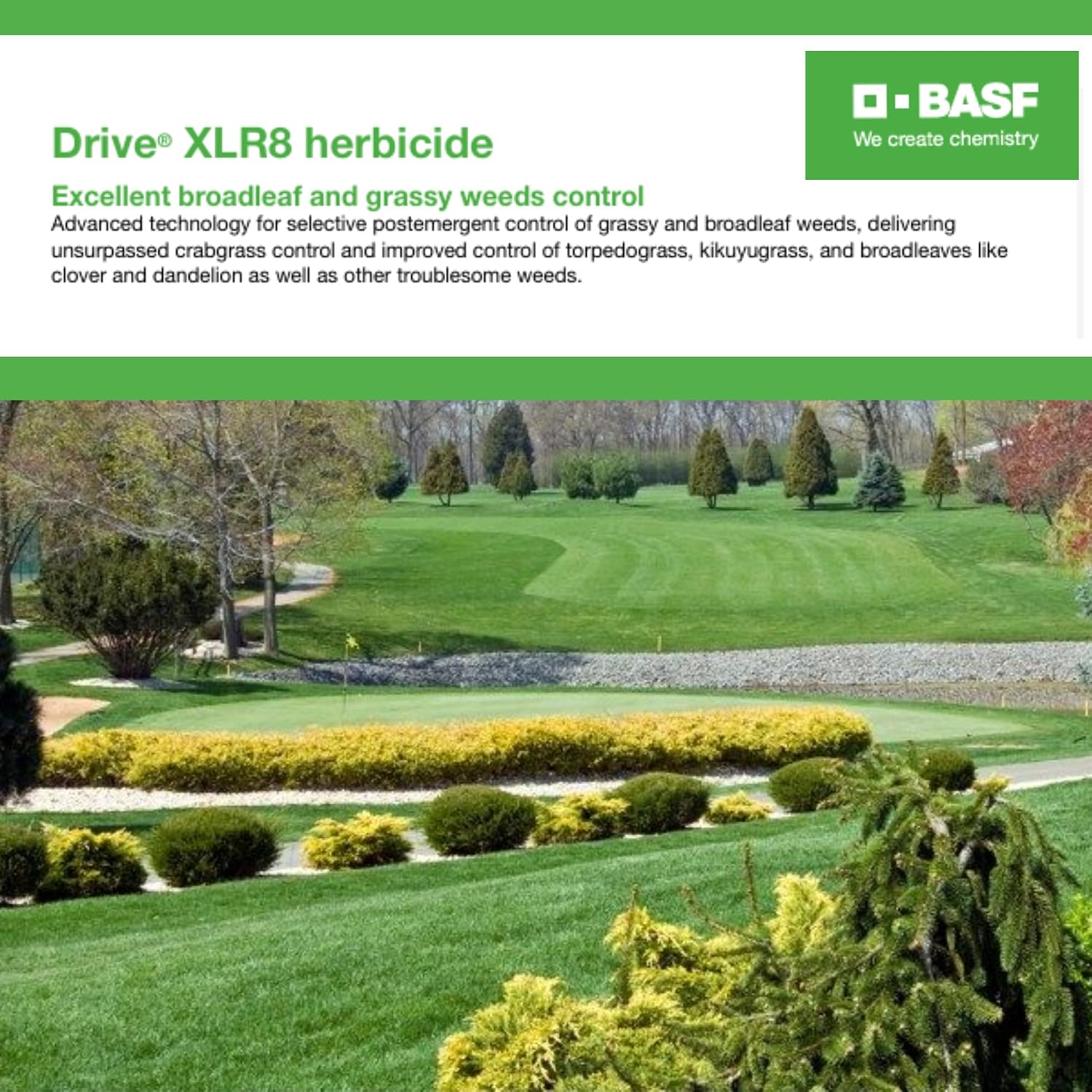 BASF Drive XLR8 Crabgrass Killer for Lawn & Turf, Post-Emergent Grassy & Broadleaf Weed Control, Active Ingredient Quinclorac, 30-Day Residual, Herbicide, Concentrate 64 Ounce