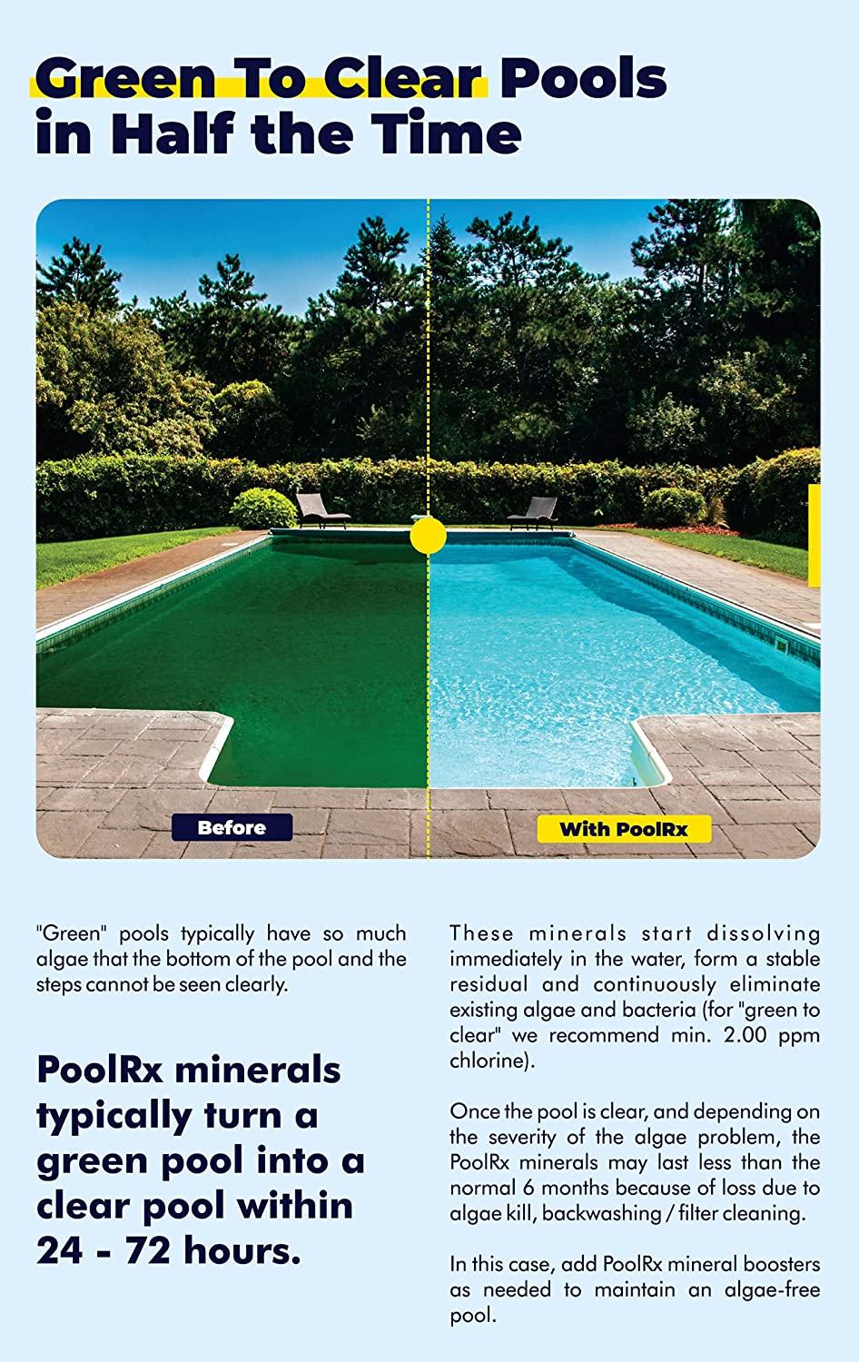 101067 Unités noires Algicides pour piscines (paquet de 4), 20 000 à 30 000 gallons