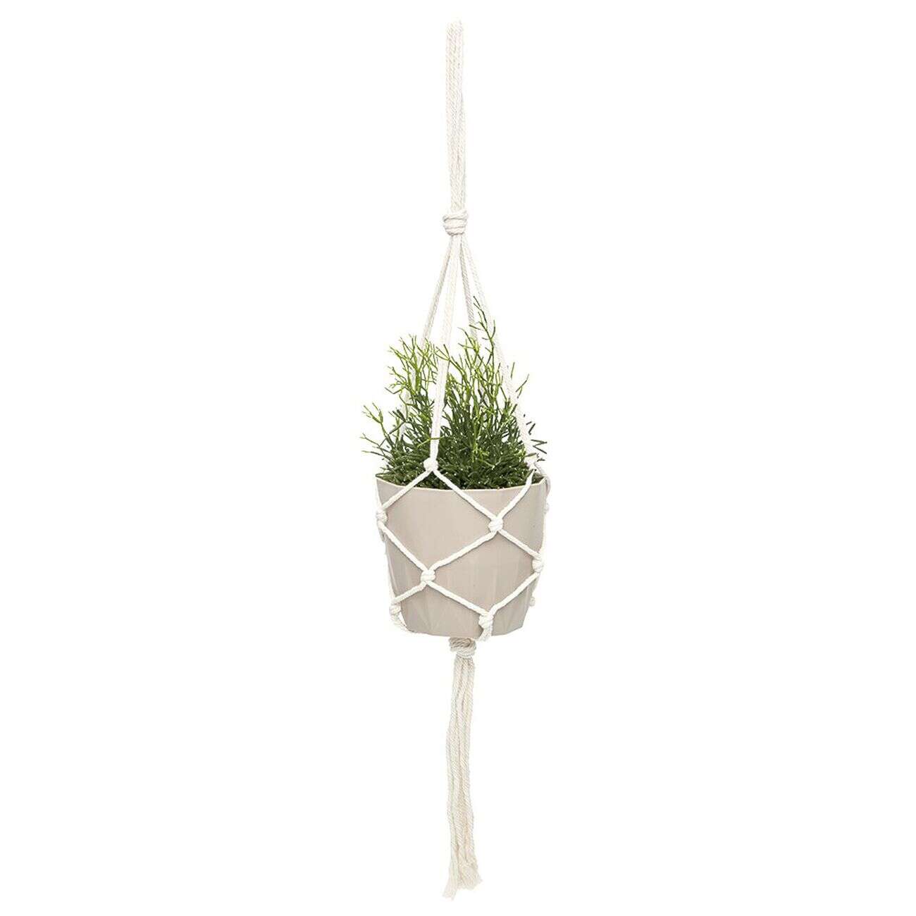 Suspension pour plantes en macramé