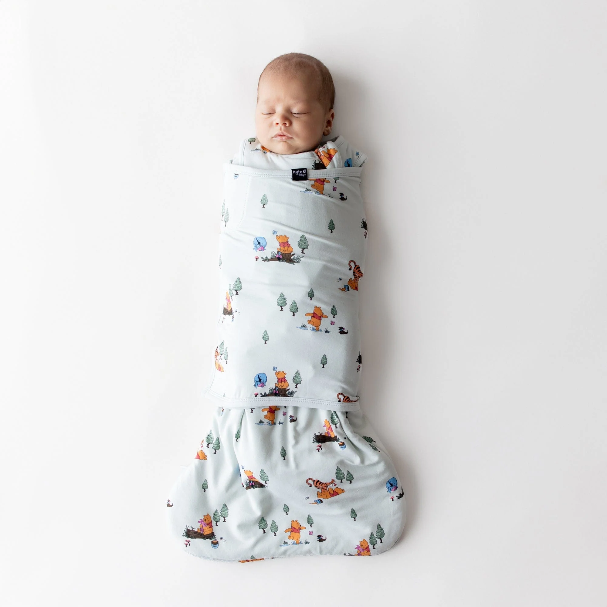 Sleep Bag Swaddler