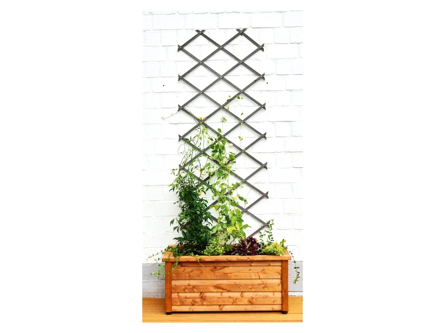 PARKSIDE Treillis en bois