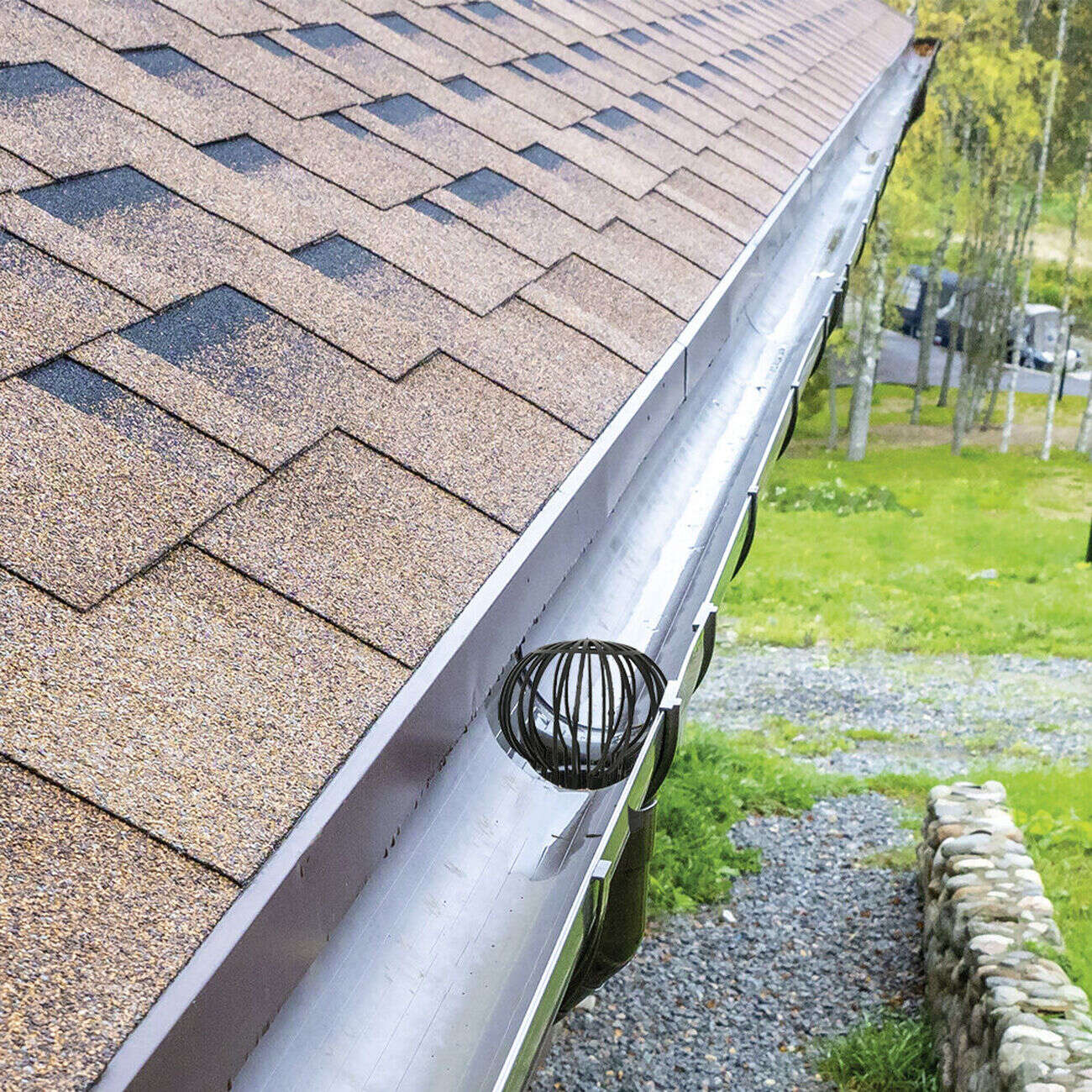 Crapaudine filtre gouttière x2