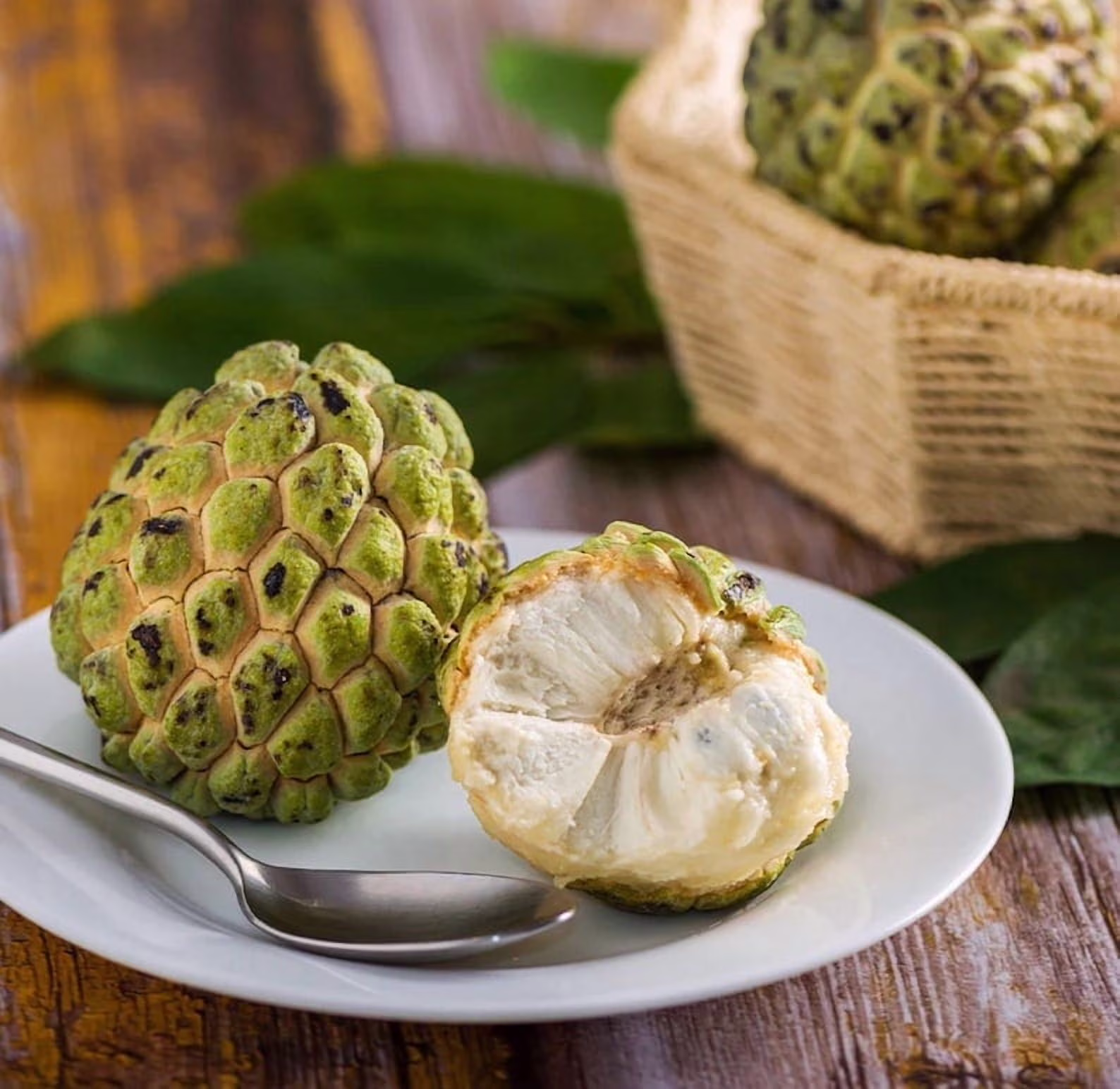 Sugar Apple TREE GRAFTED. Ships Free to All States in 3 Gallons Pot