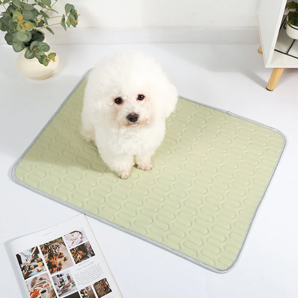 Cooling Washable Non-Slip Breathable Ice Silk Dog & Cat Mat