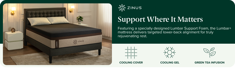Lumbar  Mattress Product Overview
