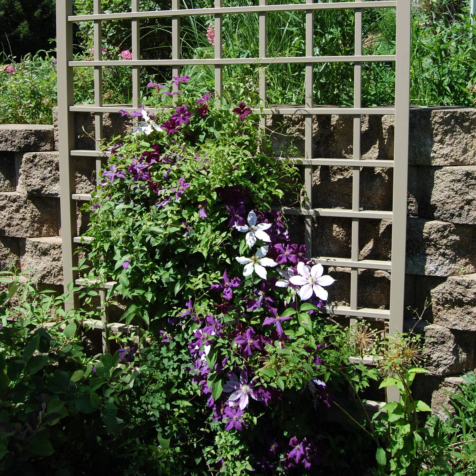 Dura-Trel Winchester 57 by 95 Inch Outdoor Garden Patio Trellis, Mocha