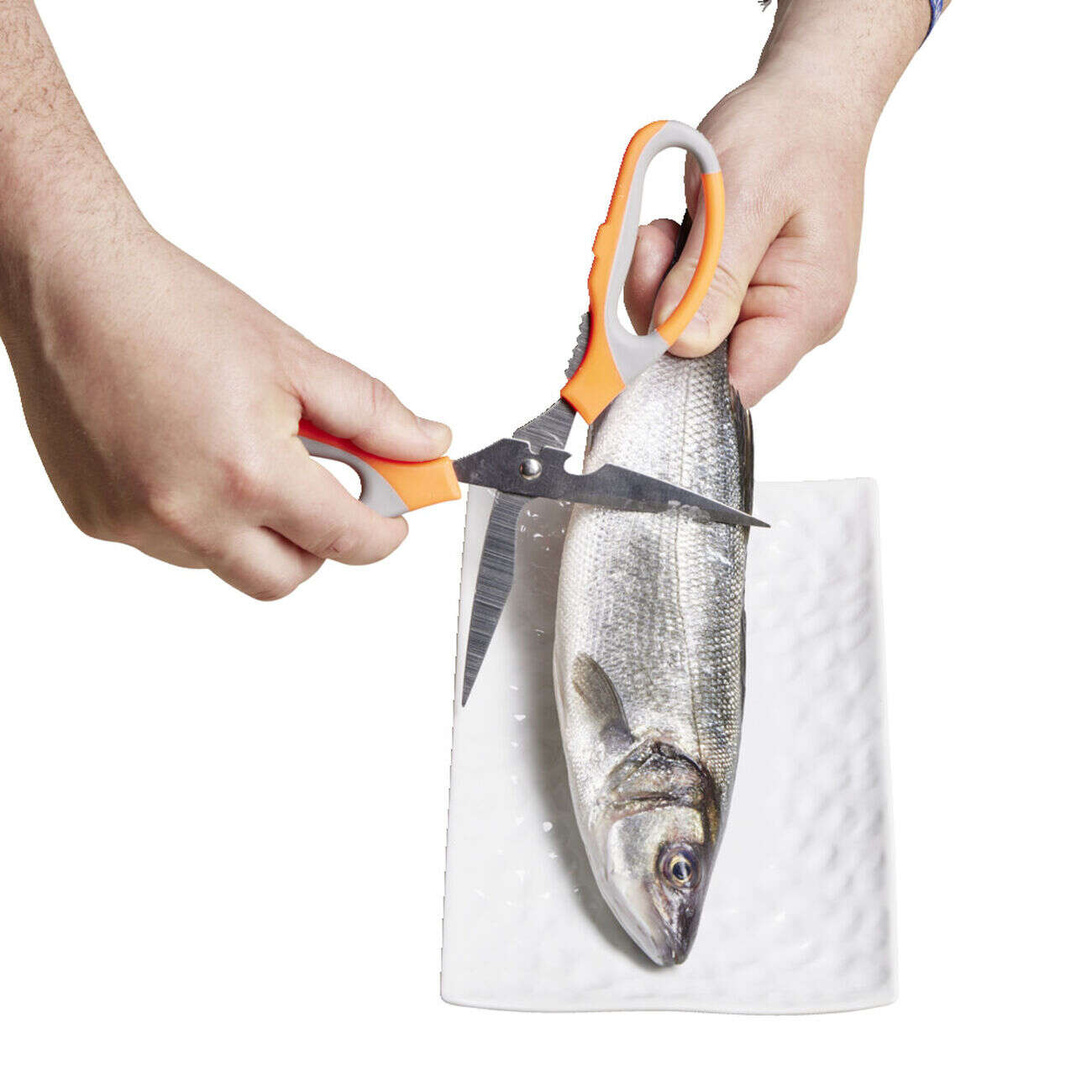 Ciseaux de cuisine 21cm