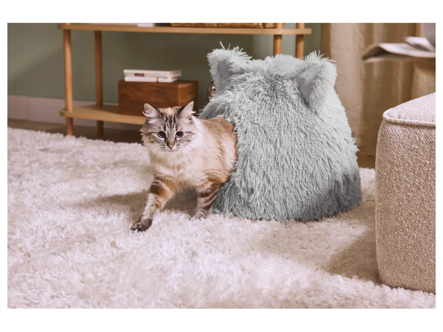 zoofari Panier pour chat ou chien
