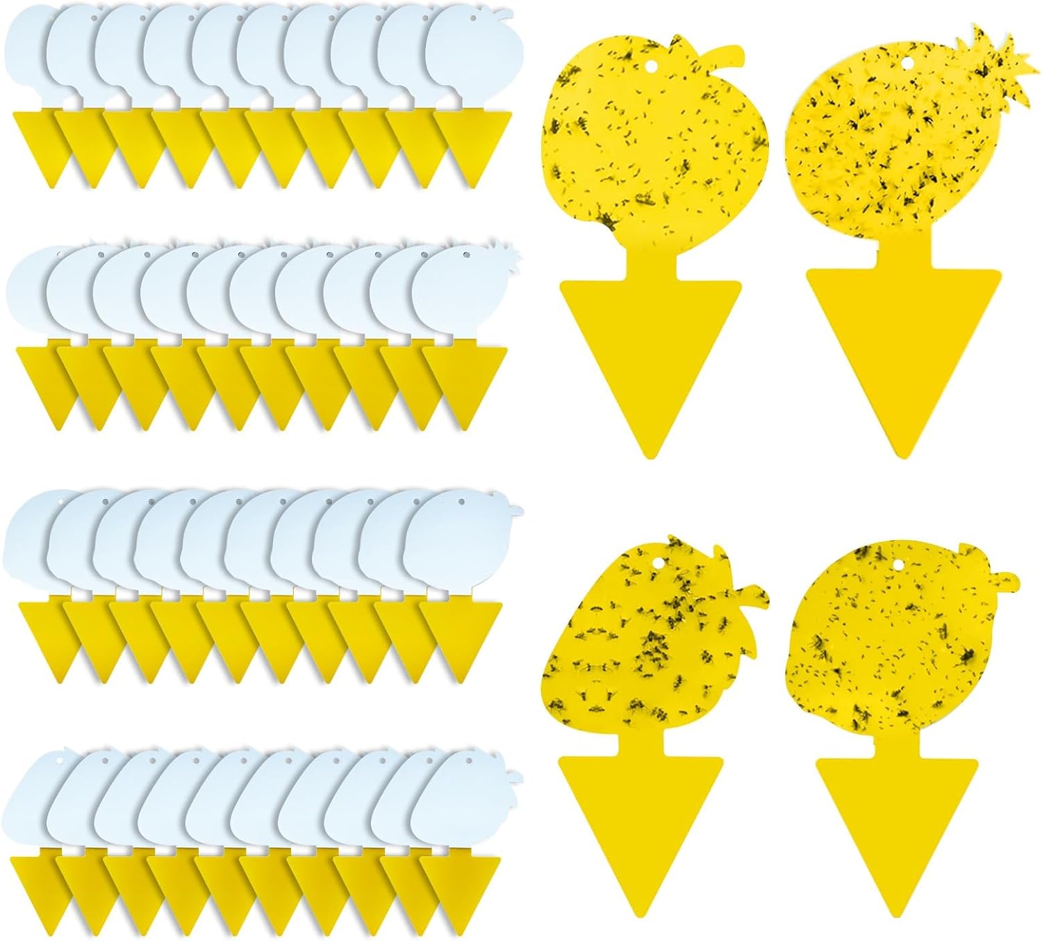 Fruit Fly & Fungus Gnat Traps 40 Pack, Yellow Sticky Traps| Non-toxic, odorless yellow sticky traps for fruit flies, fungus gnats, whiteflies, aphids, for indoor & outdoor plants