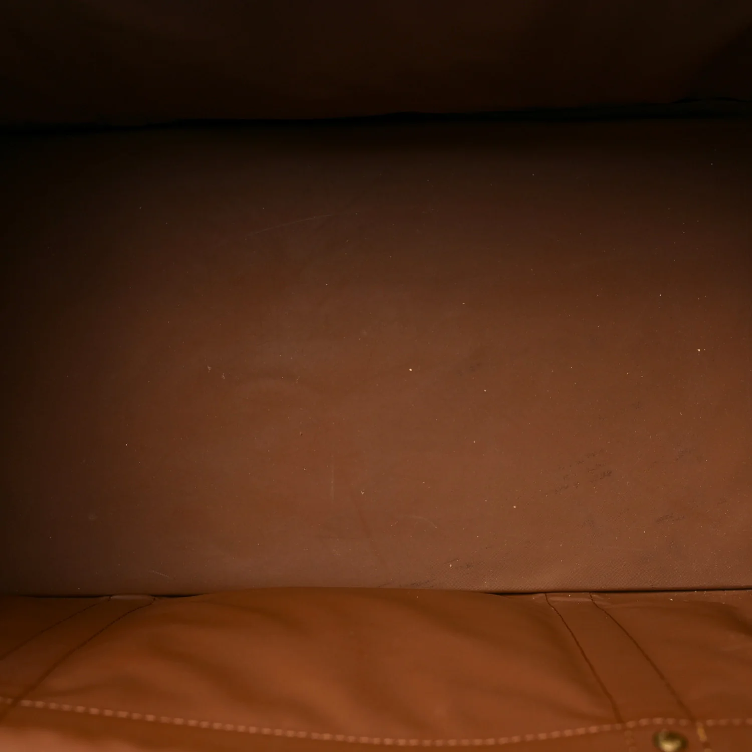 Monogram Sac Chien 40 Pet Carrier