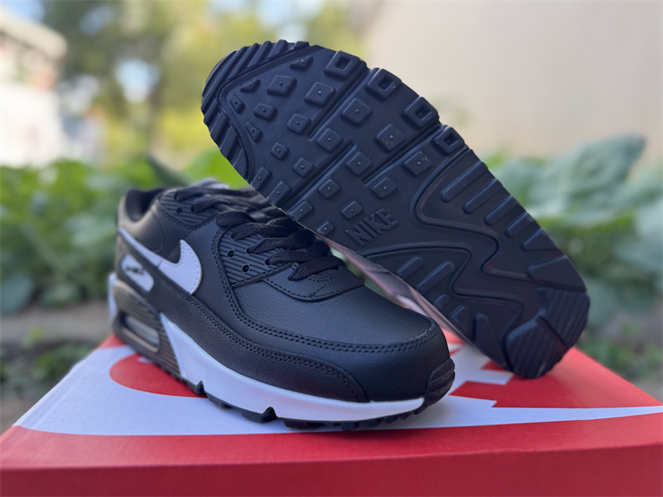 Nike Air Max 90 LTR