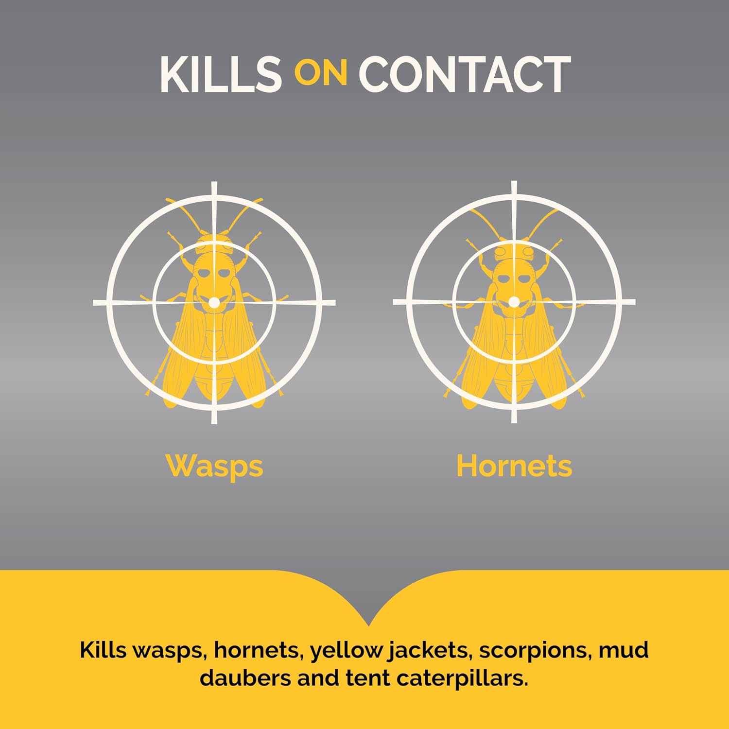 Hot Shot Wasp & Hornet Killer Aerosol Spray 14 Oz, Kills on Contact, 2 Pack| Kills Wasps, Hornets, Yellowjackets & More on Contact, Up to 27 Foot Jet Spray, For Outdoor Use, Non-Staining