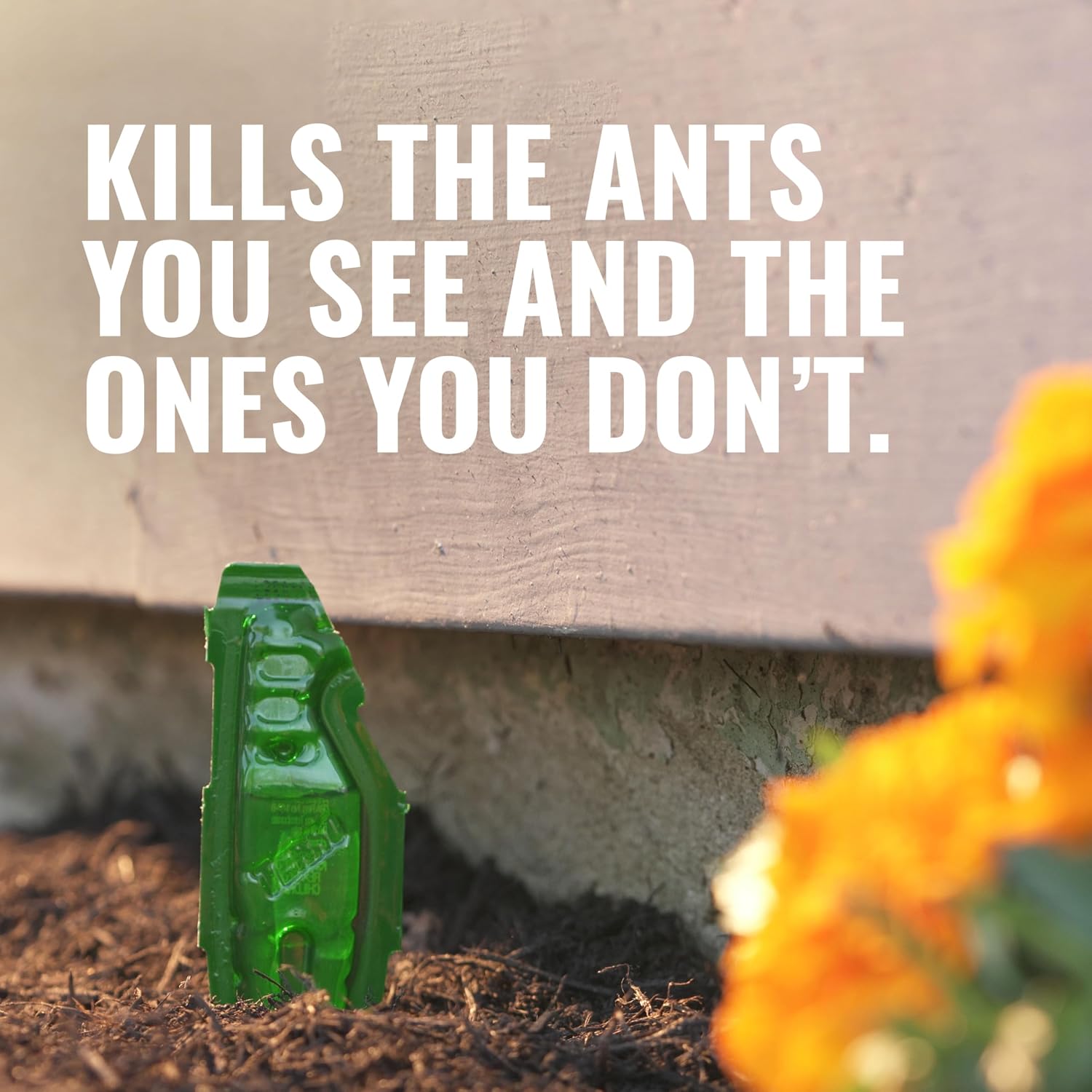 TERRO Outdoor Liquid Ant Bait Stakes, 12-Pack, Ready-to-Use Ant Killer Trap| Outdoor Ant Trap for Household Ants including Acrobat, Crazy, Ghost and Little Black Ants, Weatherproof Ant Colony Killer
