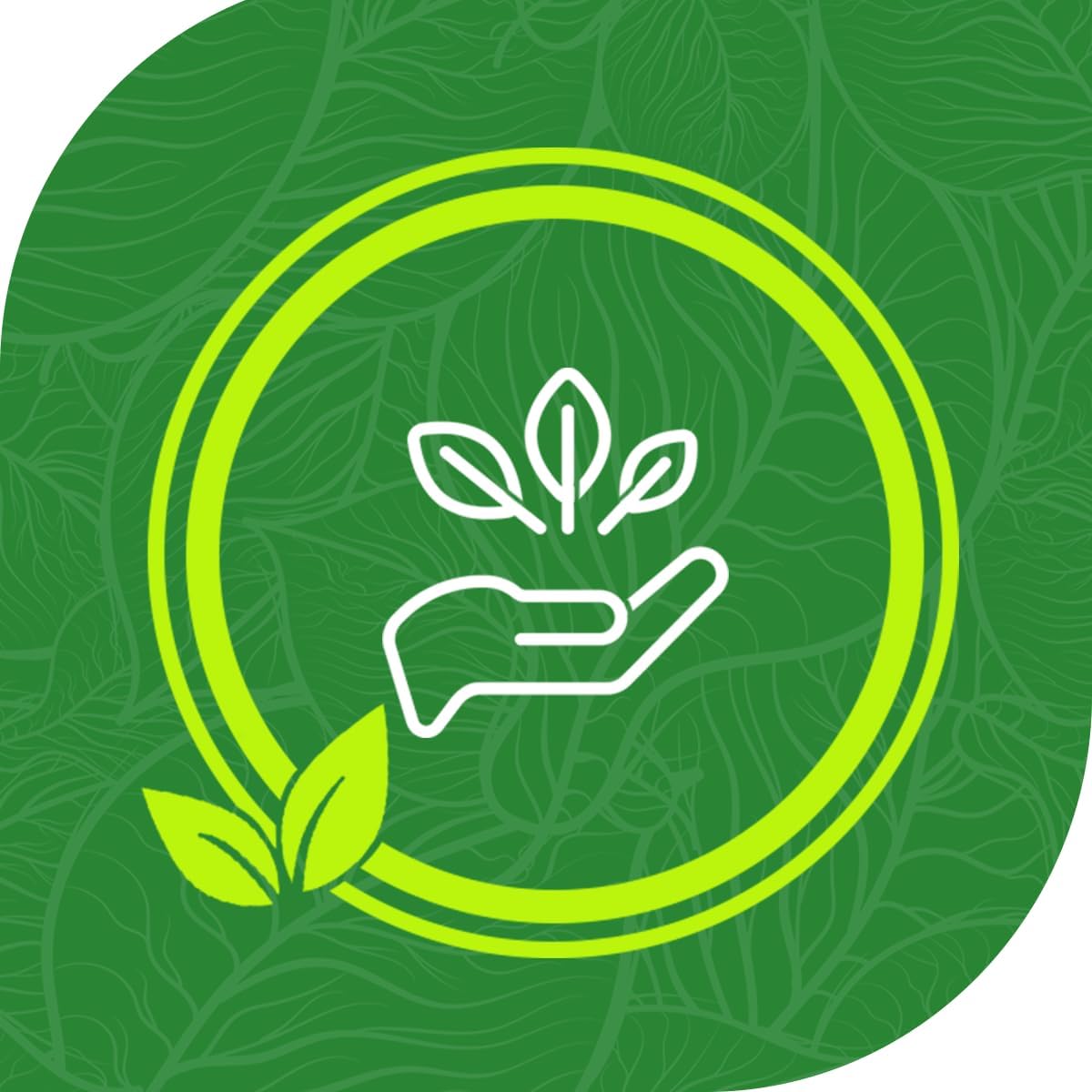 EverFresh 11
