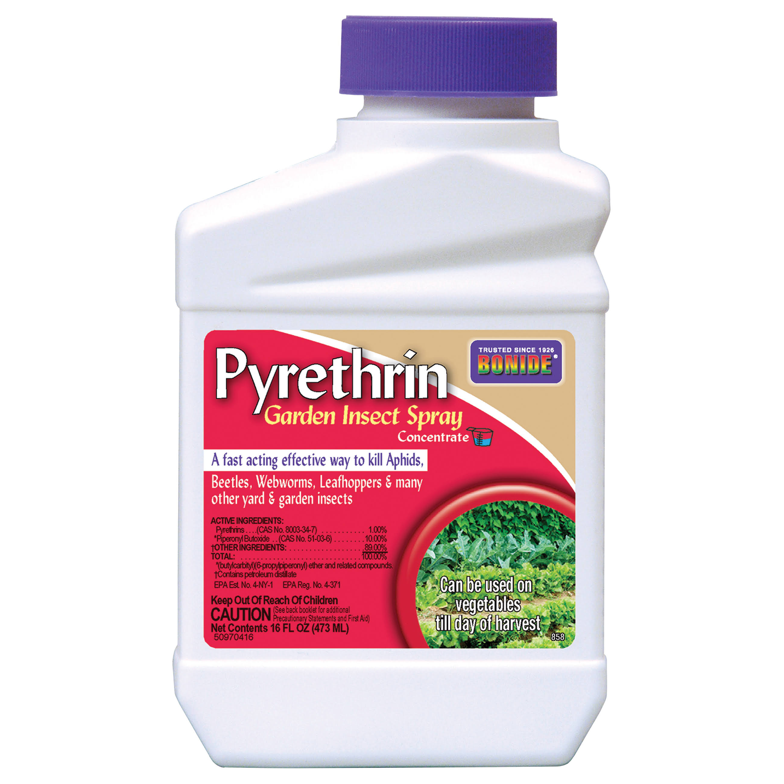 Bonide Pyrethrin Garden Insect Spray