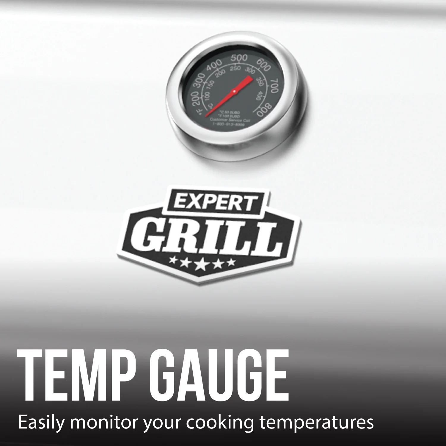 Expert Grill 5 Burner Propane Gas Grill with Side Burner