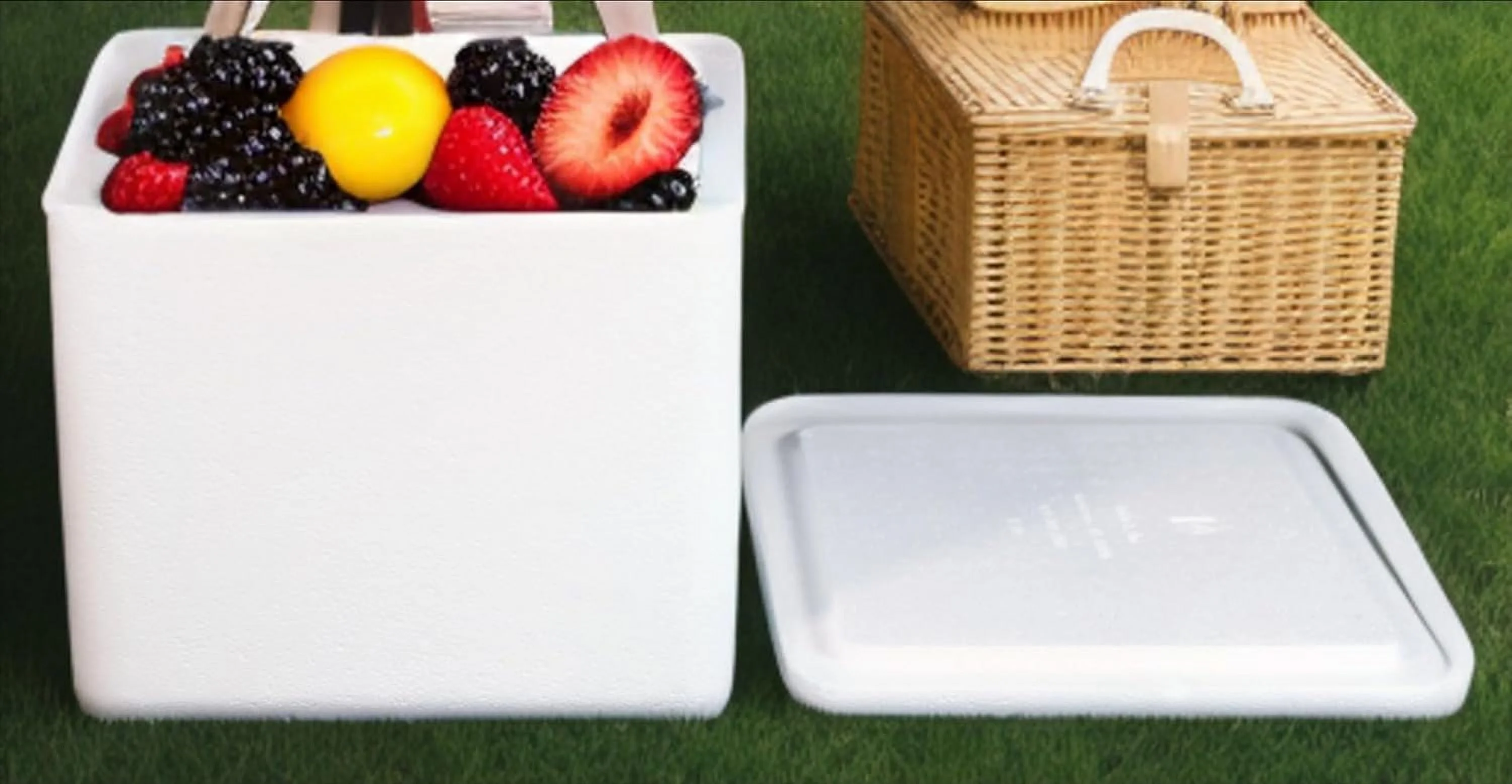 Foam Cooler (Outside Dimensions: 12�� x 11�� x 9��) with Shipping Box 3 Pack, Protective, Thermal, Insulated, Biodegradable, Recyclable, Shipping/Storage - Image 3