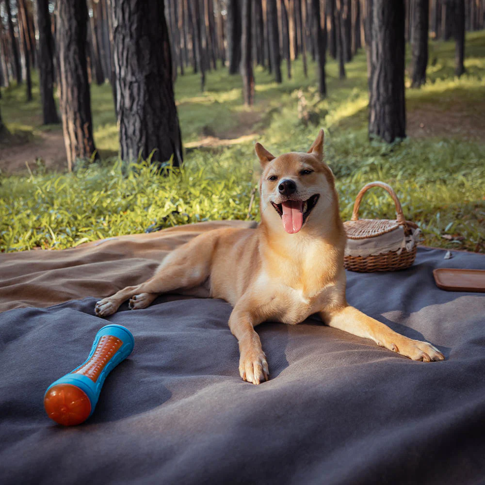 Classic Retro - Waterproof Camping & Car Dual-Use Back Seat Cover