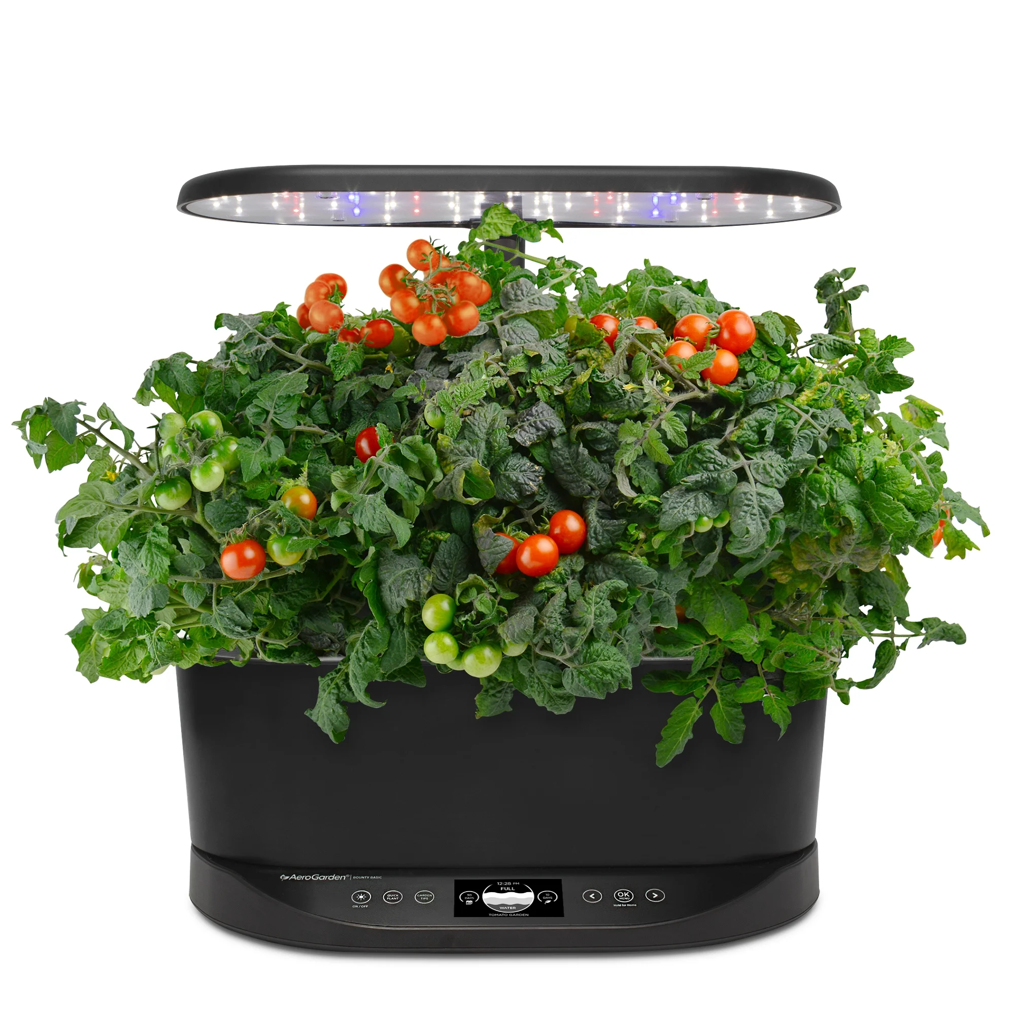 Bounty Basic Indoor Garden with LED Grow Light, Black(Black) - Image 4
