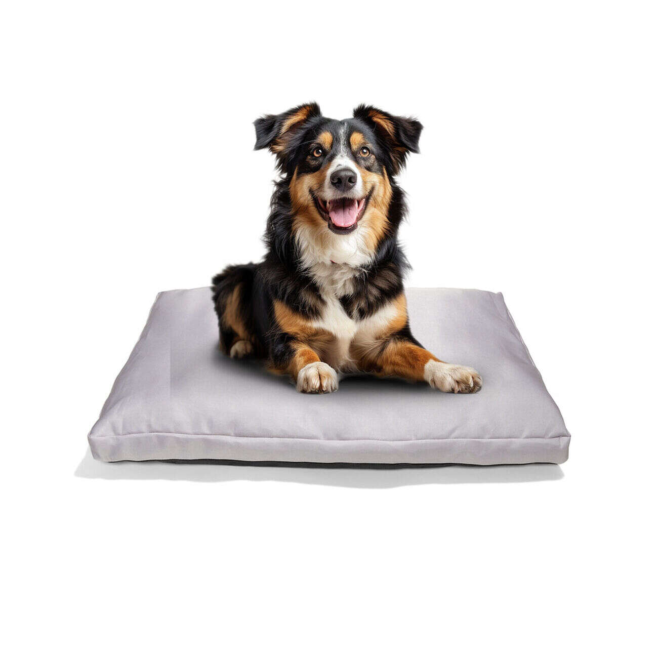 Couchage chien 71x45cm (2 modèles)